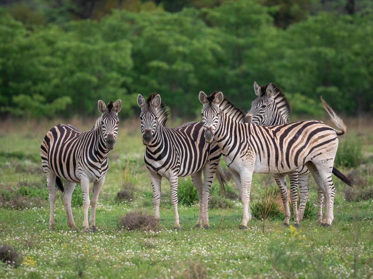 Sofala Lodge Mokopane Εξωτερικό φωτογραφία