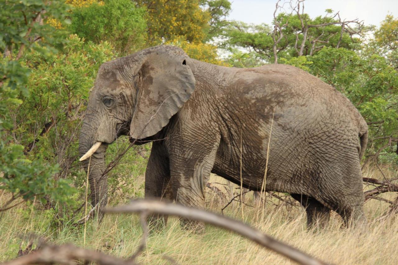 Sofala Lodge Mokopane Εξωτερικό φωτογραφία