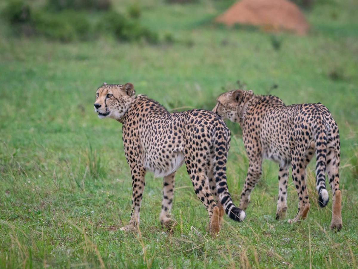 Sofala Lodge Mokopane Εξωτερικό φωτογραφία